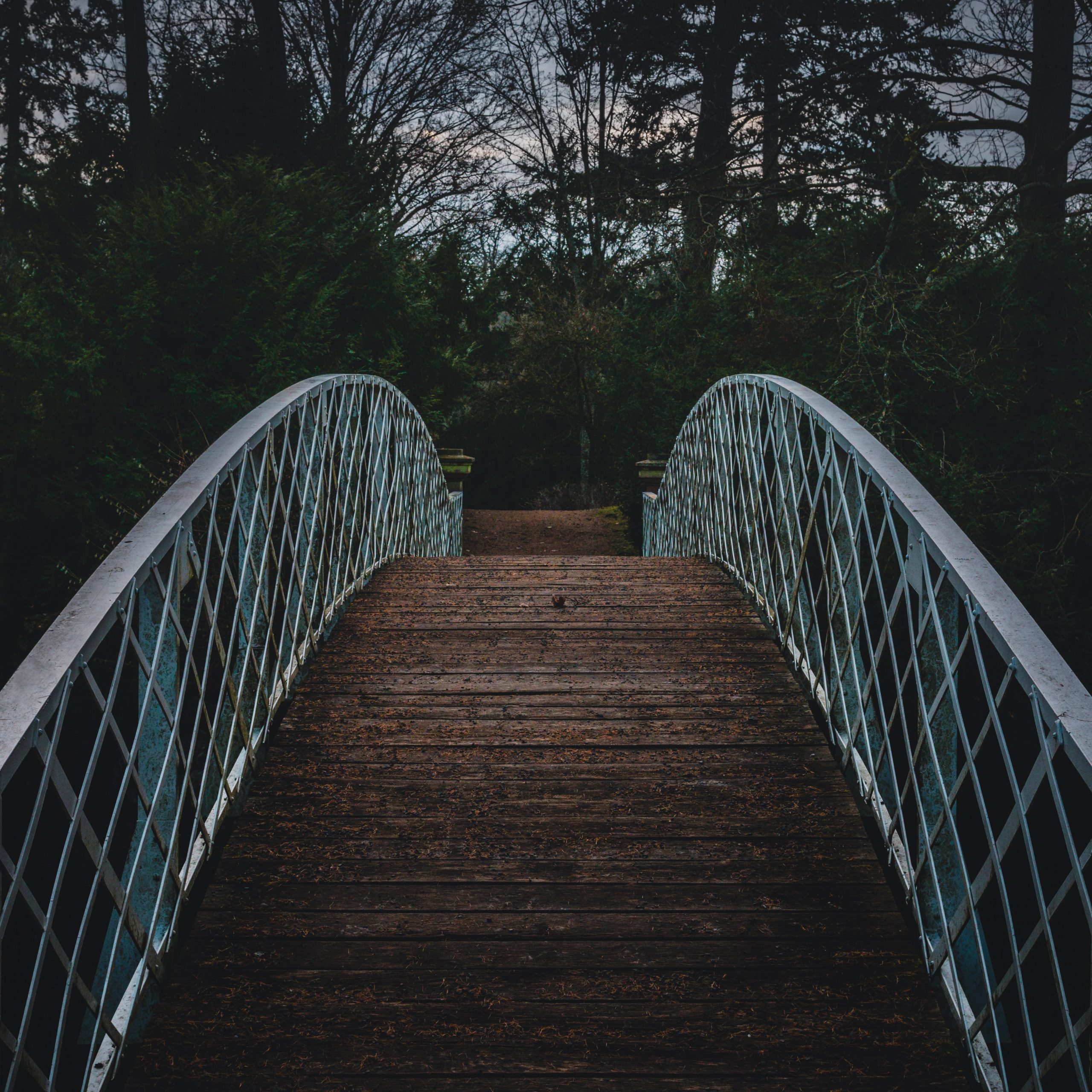 Visual Vertigo over a bridge